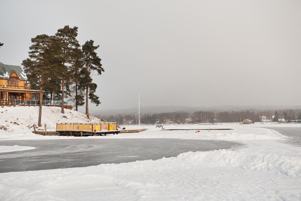 Miljöbild vinter.