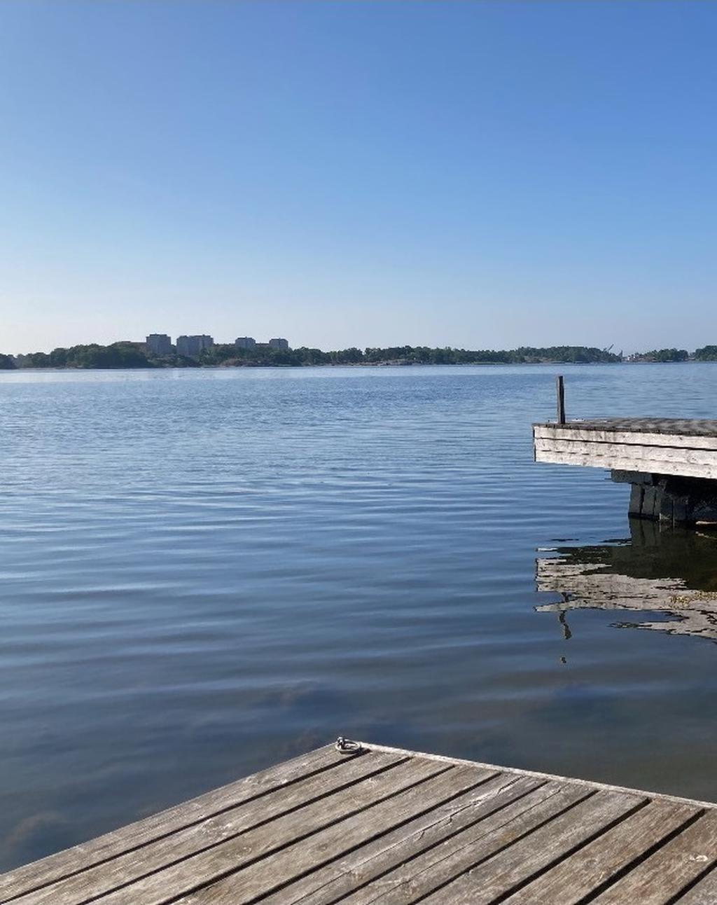 Fin allmänning ca 100 m från tomten 