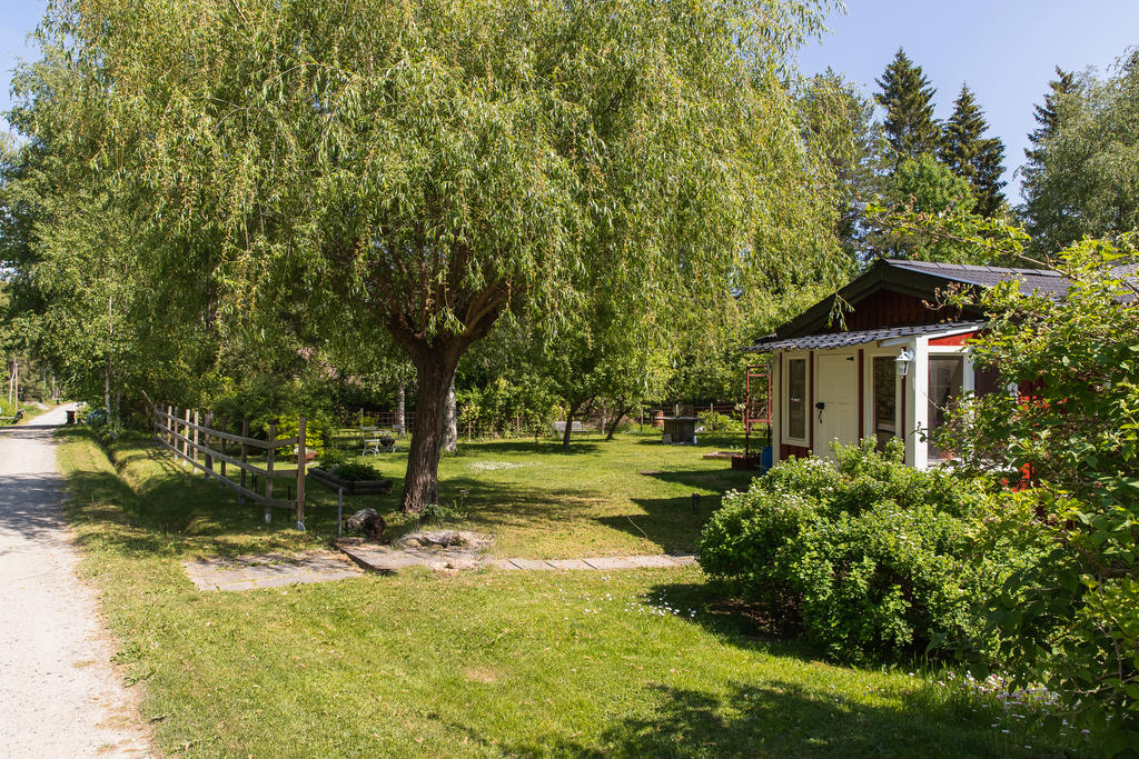 Trädgården erbjuder fina träd och buskar