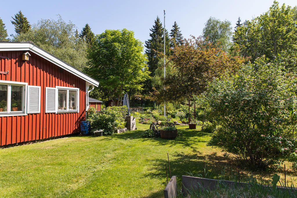 Magisk utsikt över trädgården