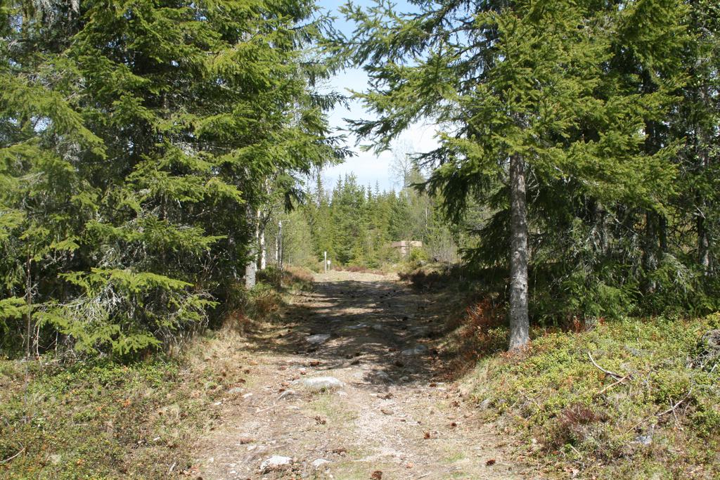 Gångvägen upp till tomten