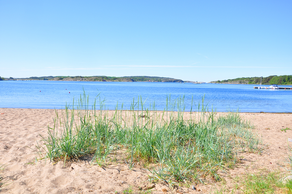 Miljöbild Grebbestad strand.