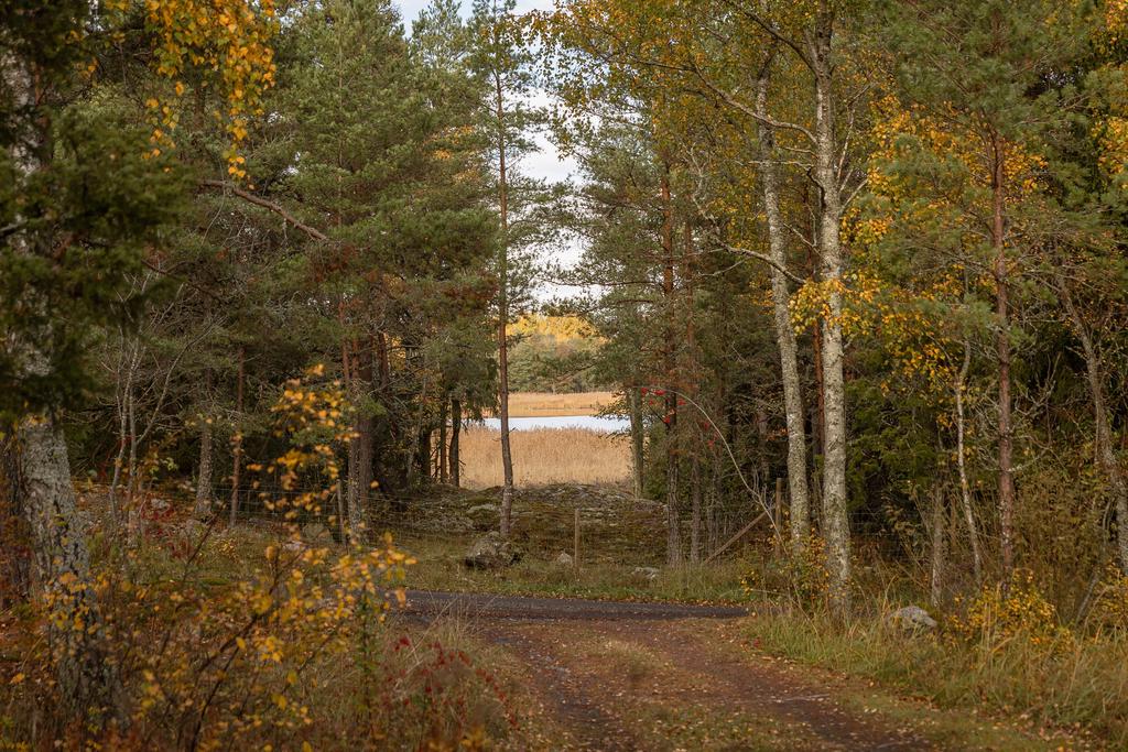 Utsikt från tomten 