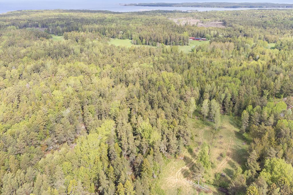 Vy över skiftet i gläntan på Gräsö