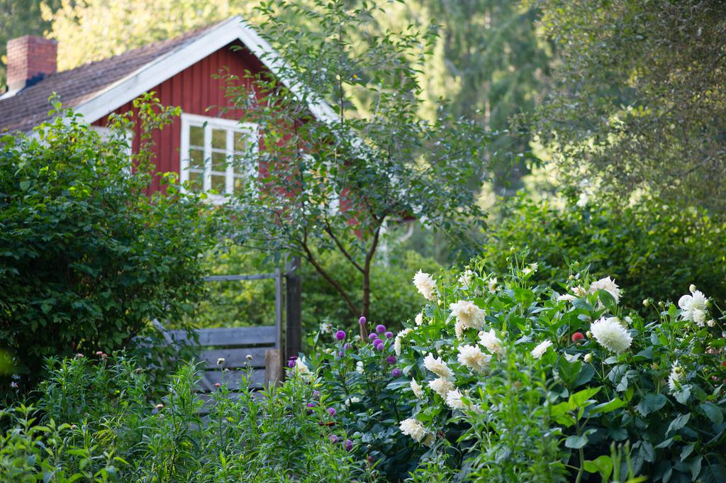 Torpet är omgivet av en blomstrande trädgård