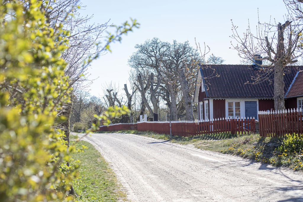 Lökenäs bygata