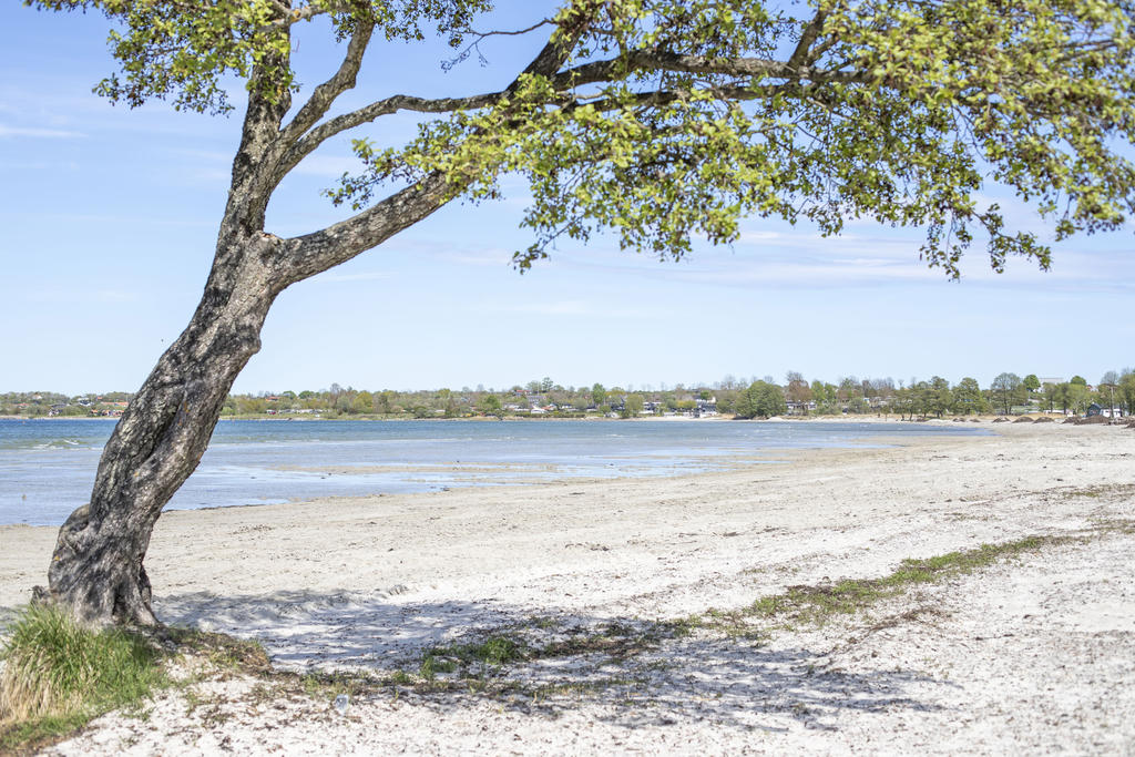 Milsvid strandlinje, områdesbild.