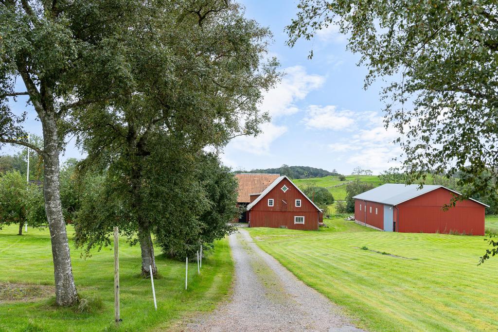 Vägen ner till gården. En stor maskinhall finns bredvid ladugårdsbyggnaden.