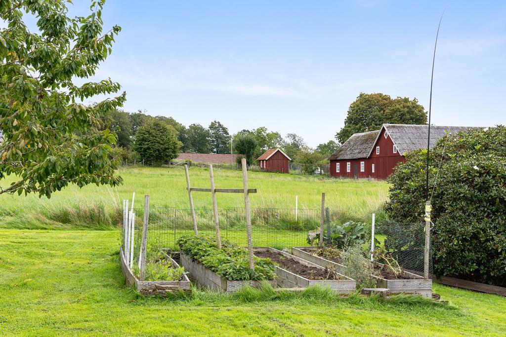 Del av trädgården med odlingslådor.