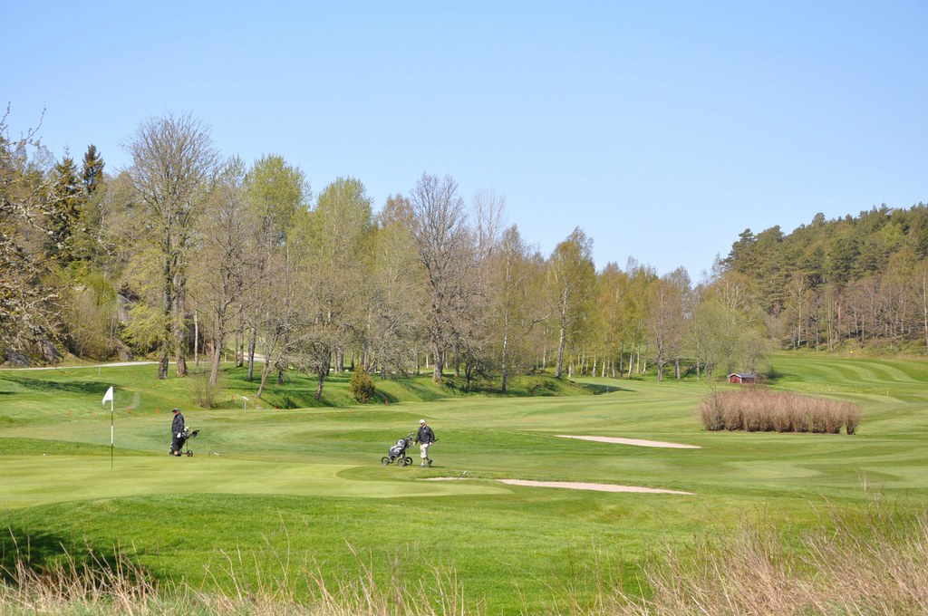 Mjölkeröd golfbana