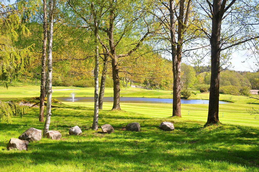 Mjölkeröd golfbana