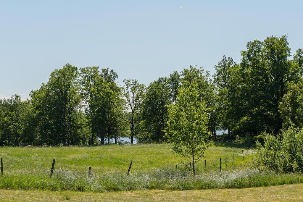 Naturen i och omkring Fållökna är vacker med en blandning av odlingsmark, sjöar och djupa svampskogar.