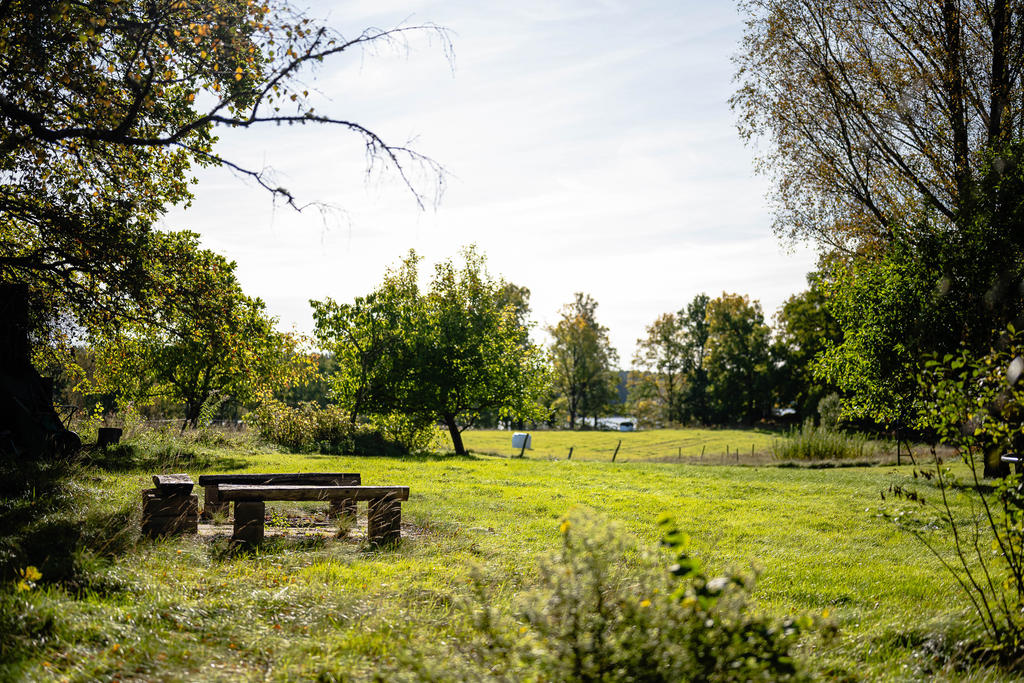 För den med tränat öga kan man skymta sjön Nedingen från tomten 