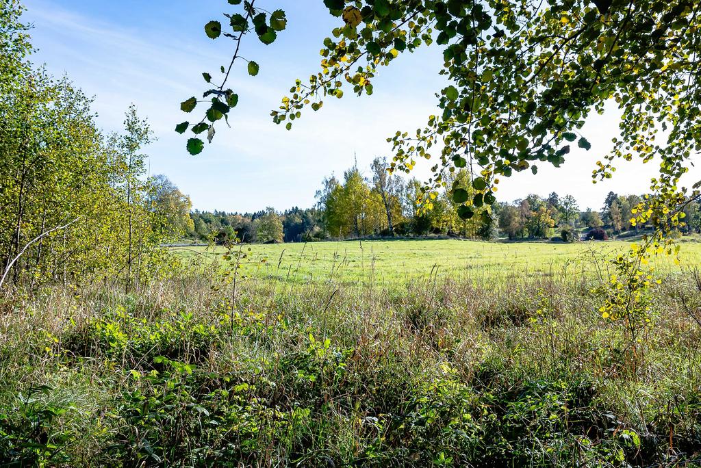 Hage utanför tomtgränsen 