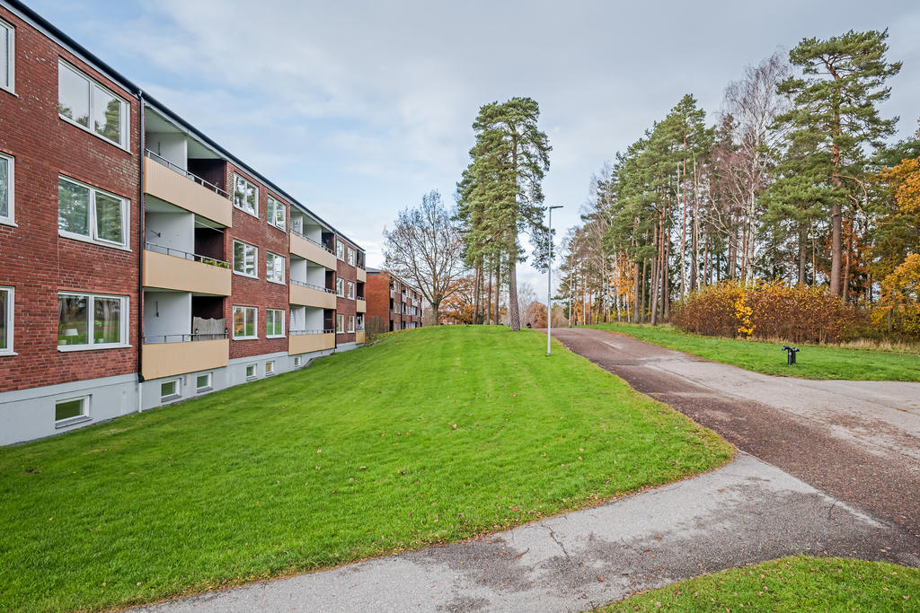 Naturen runt hörnet