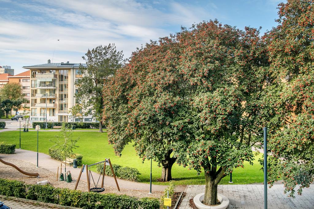 Utsikt över parken