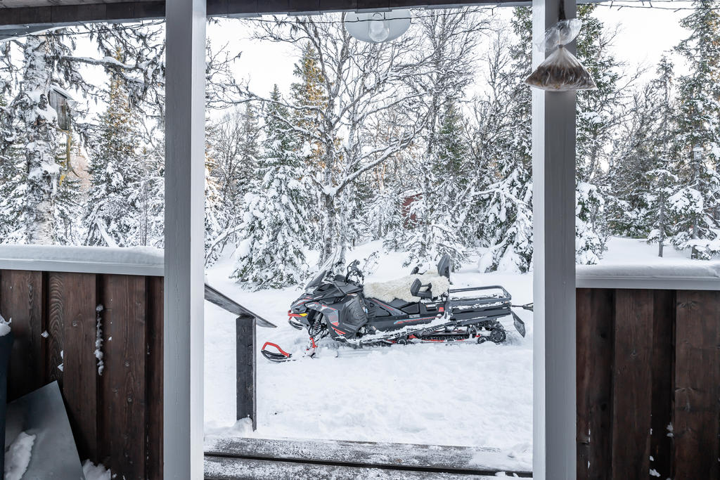 Stugan omges av vackra fjällträd. 