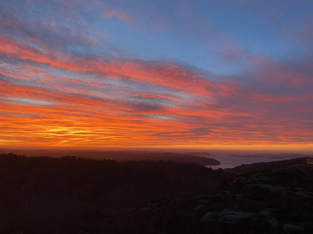 Säljarens bilder