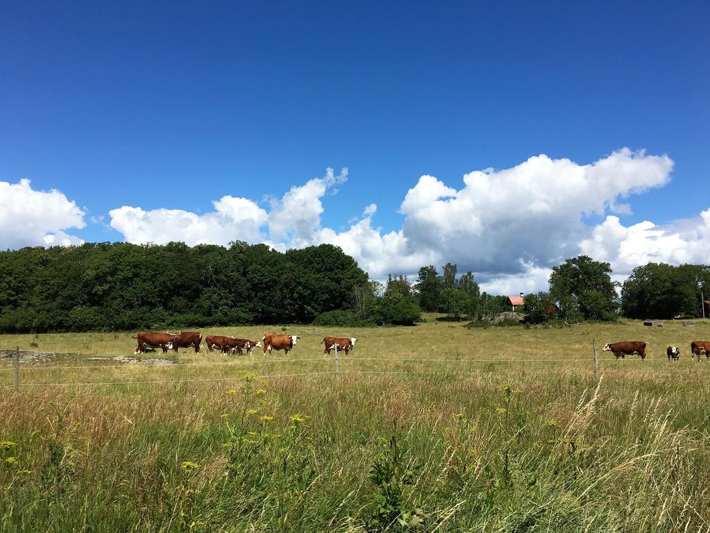 Eldgarnsö naturreservat