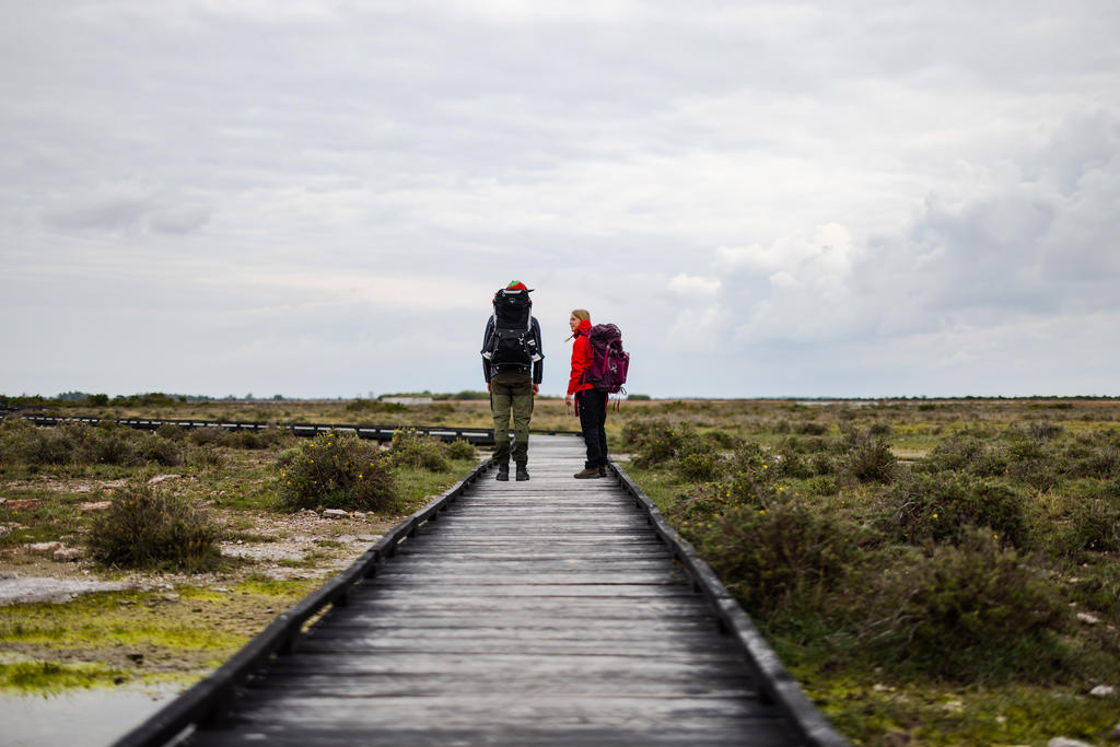 Härliga stråk att uppleva på Öland!