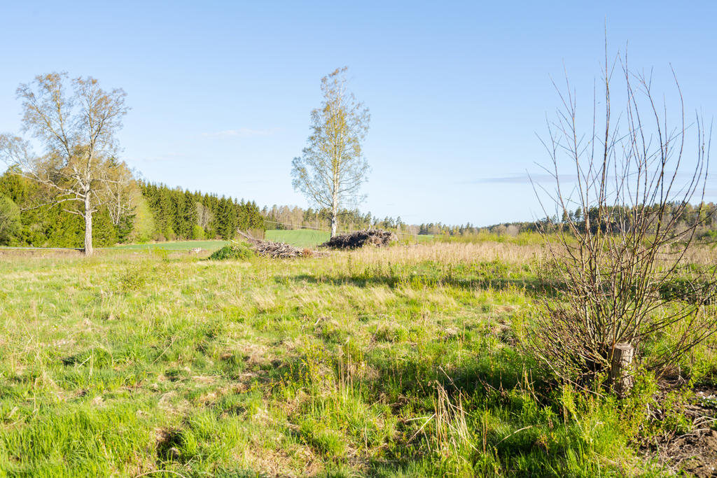 Utsikt i väst från tomten