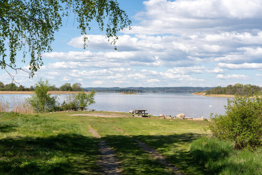 Badplats i området