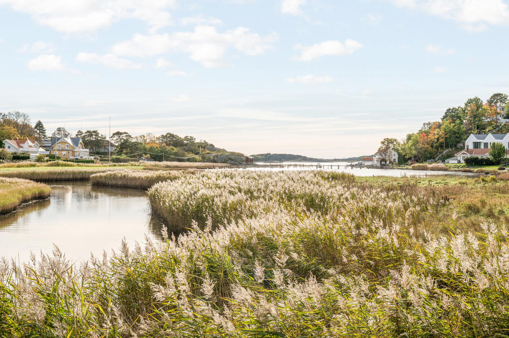 Stallviken en kort promenad från huset