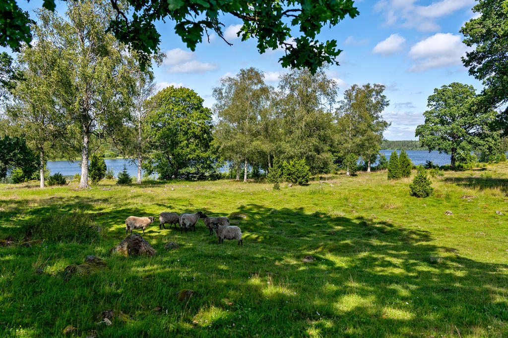 Vackert beläget med strand intill sjön Juven