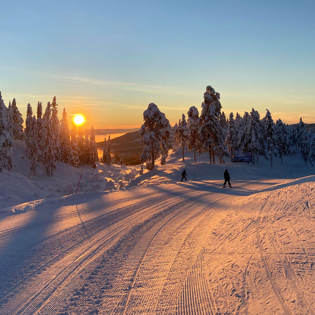 Fantastisk skidåkning 