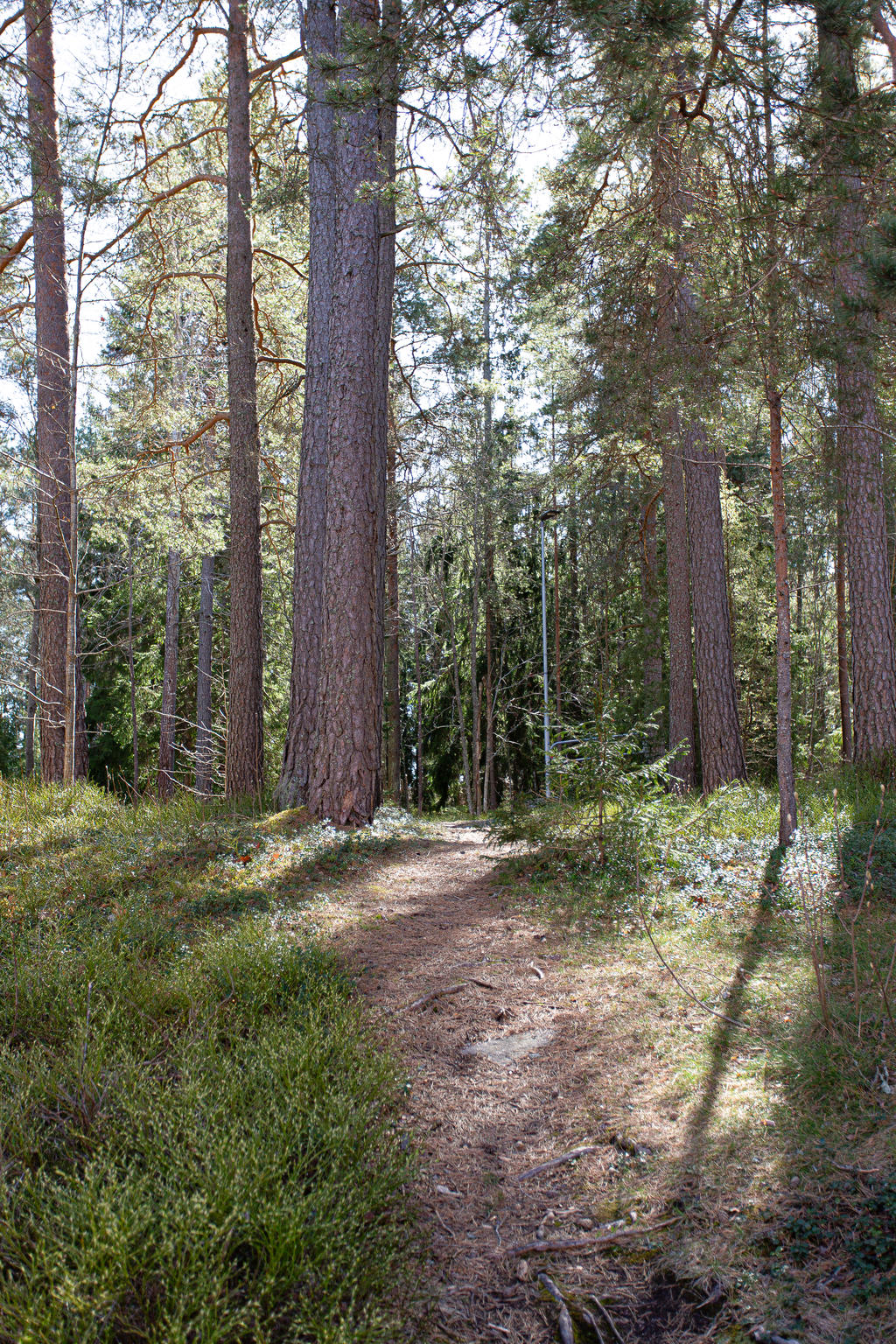 Närhet till grönområden