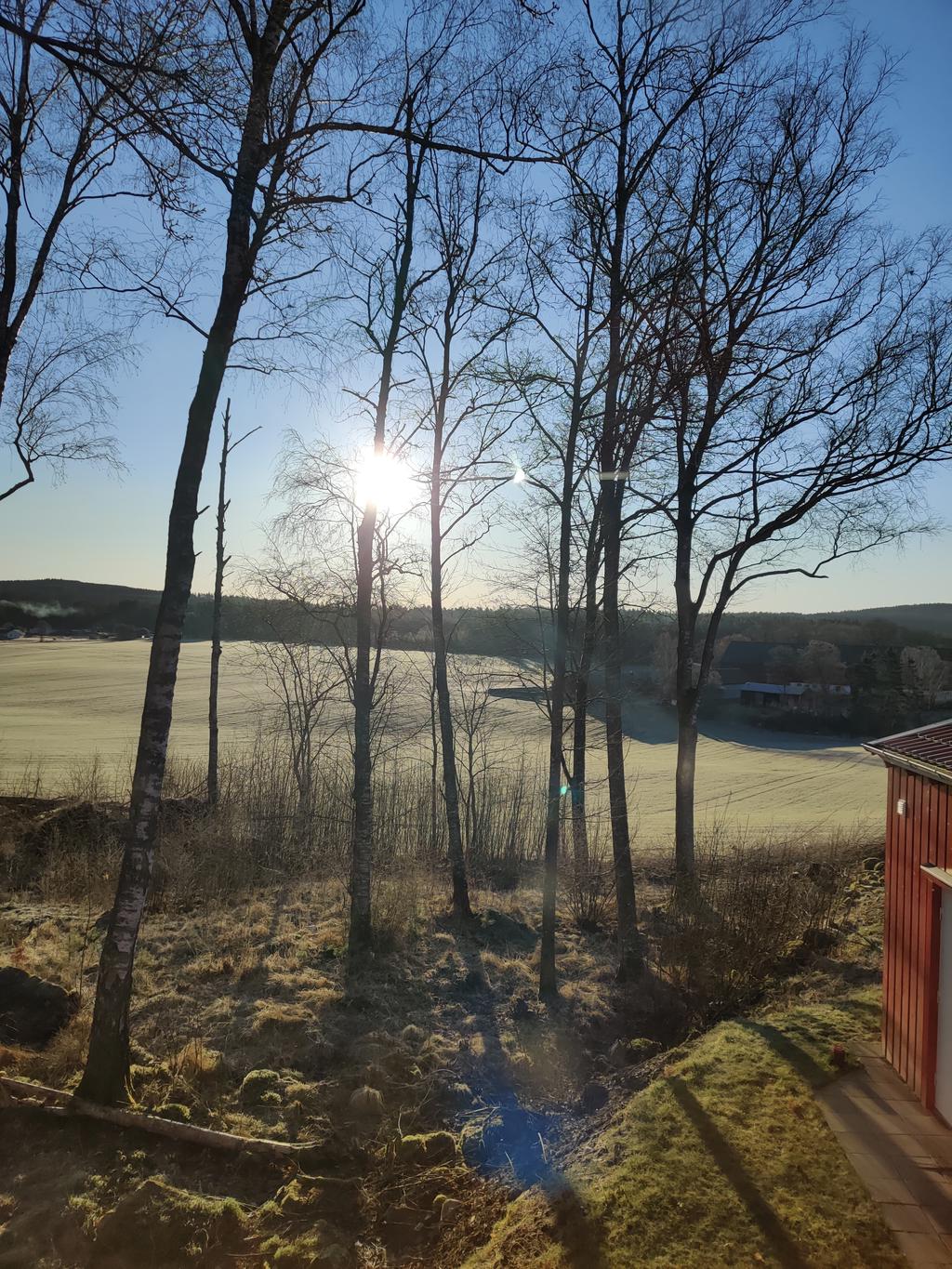 Morgonsol på framsidan, här bild från köksfönstret