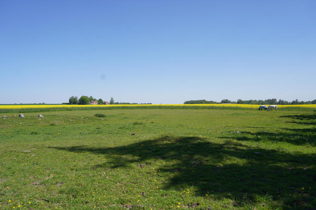 Säljarens sommarbild