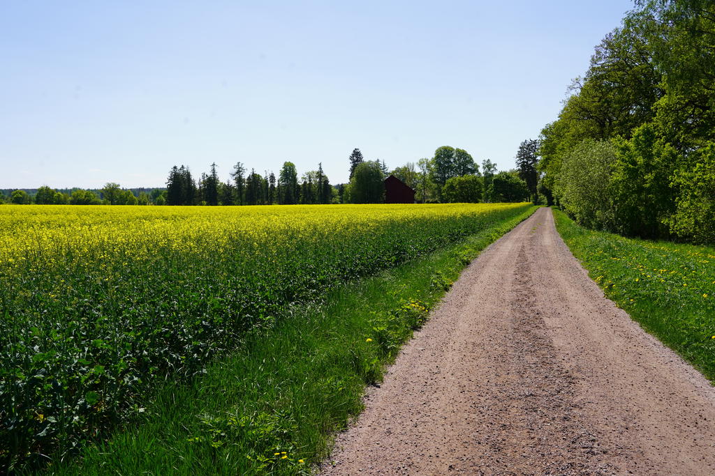 Säljarens sommarbild