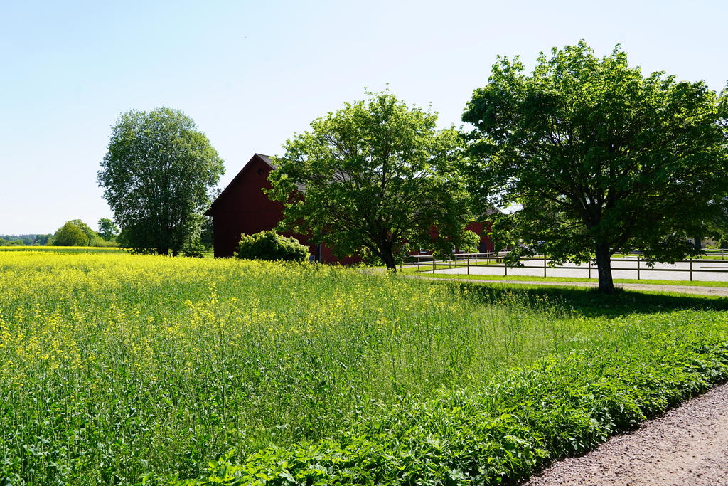 Säljarens sommarbild