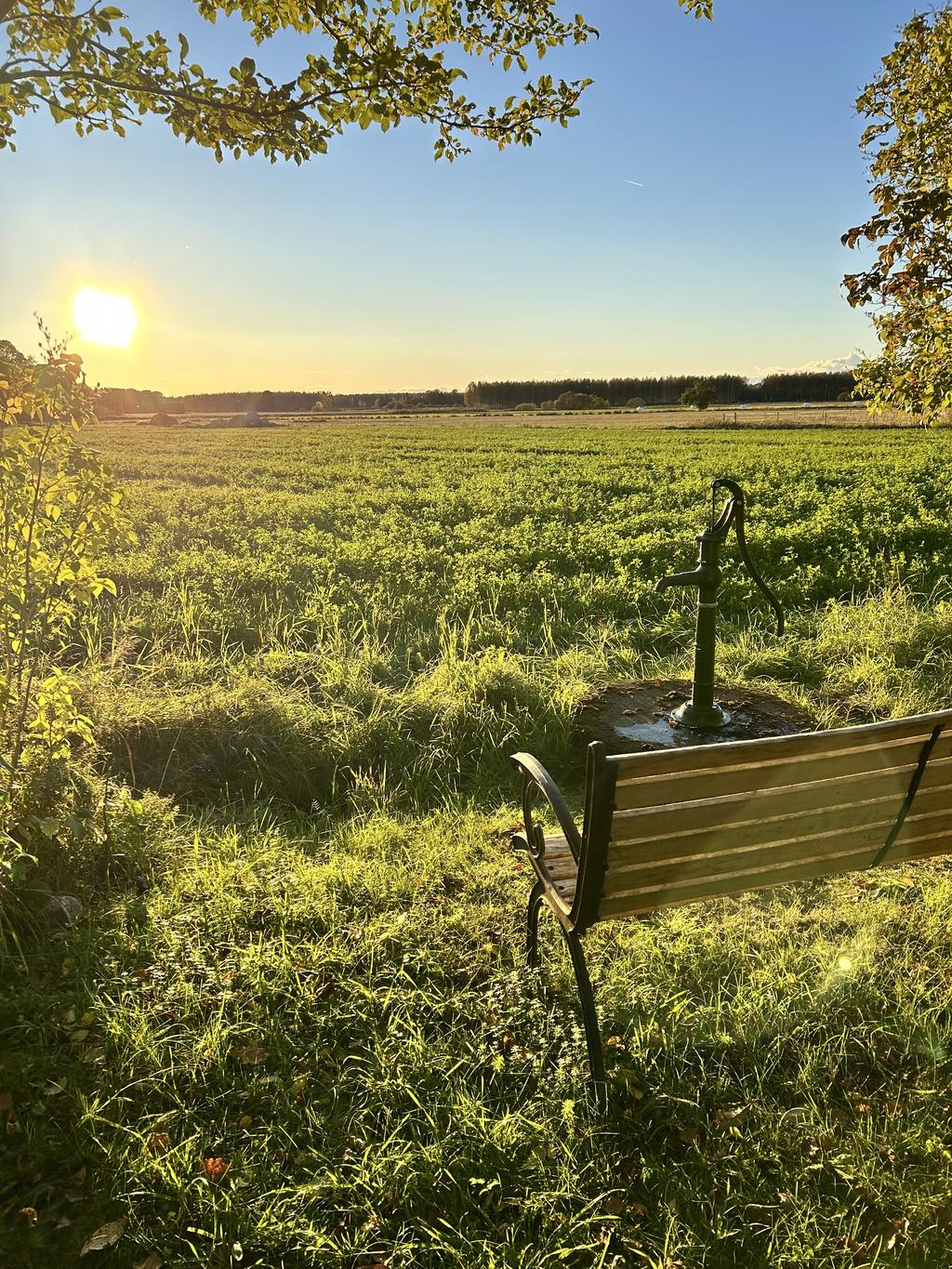 Säljarens egna sommarbilder