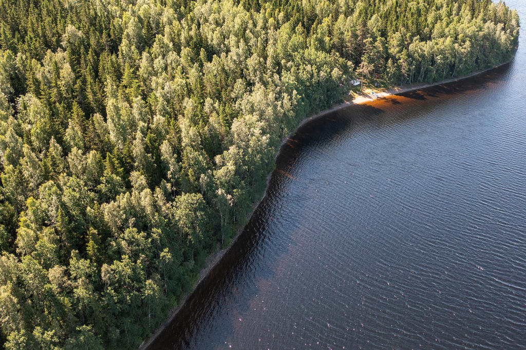 Strandlinje vid sjön Iväg. 