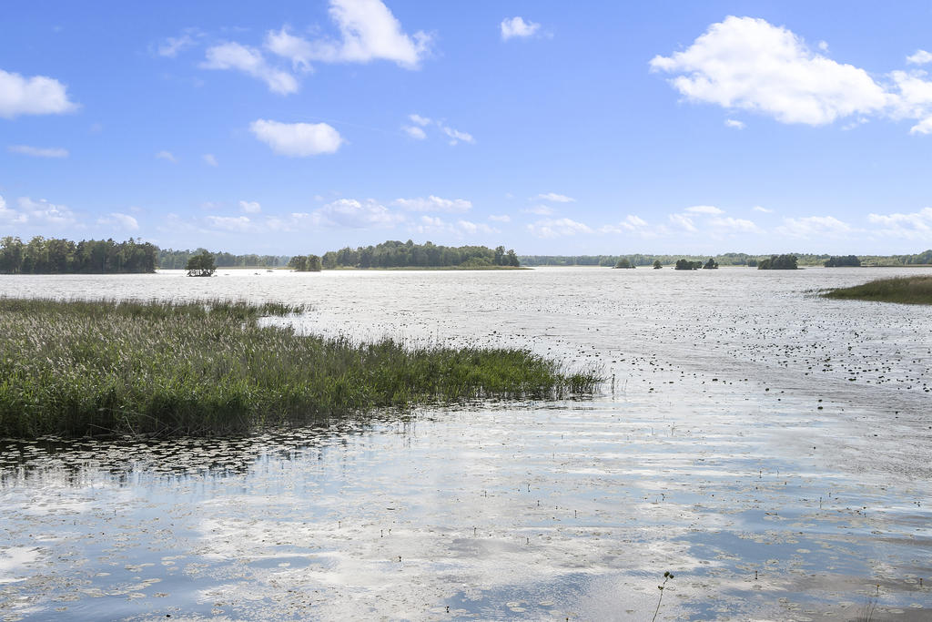 Vackra vyer ut över Hjälmaren