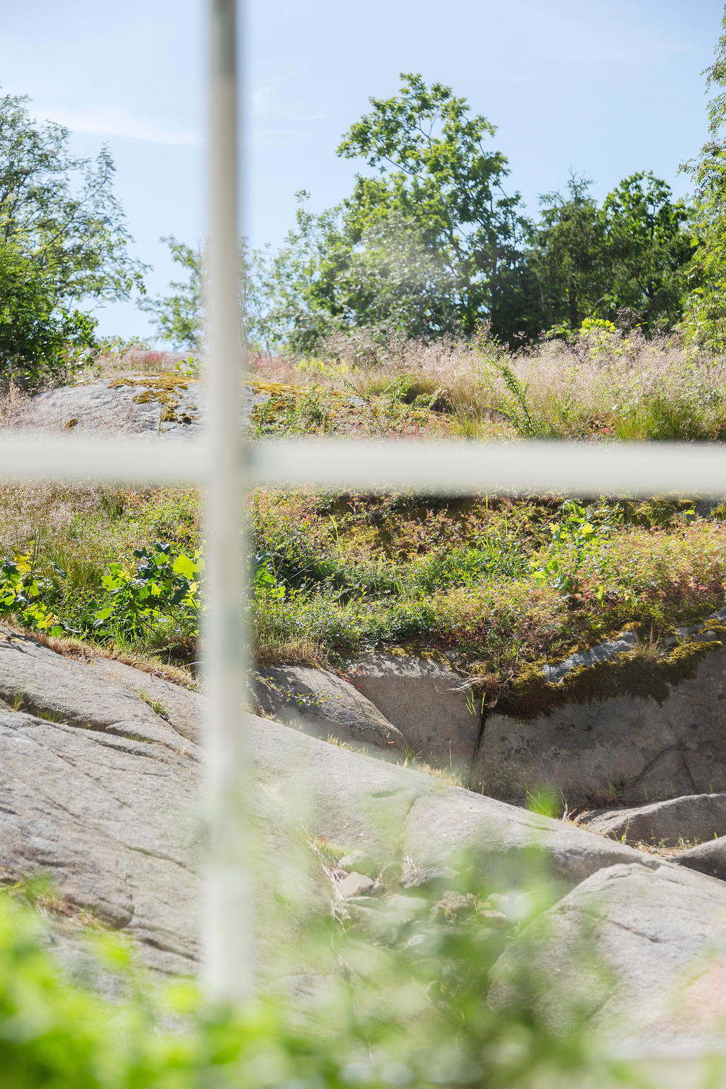 Utsikt från köket över naturen