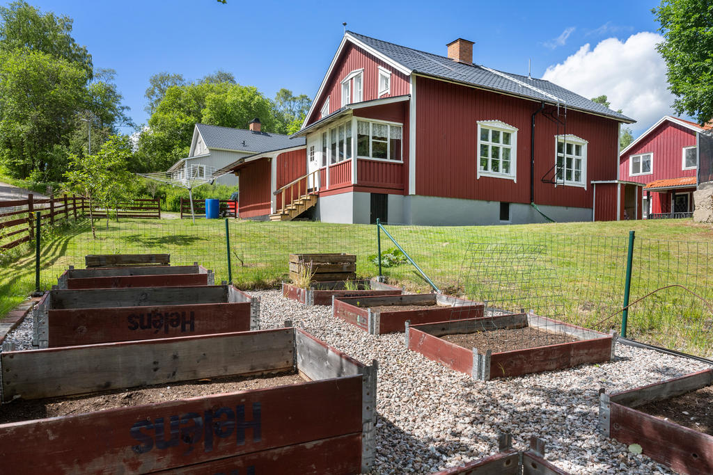 Odlingslådor i trädgården