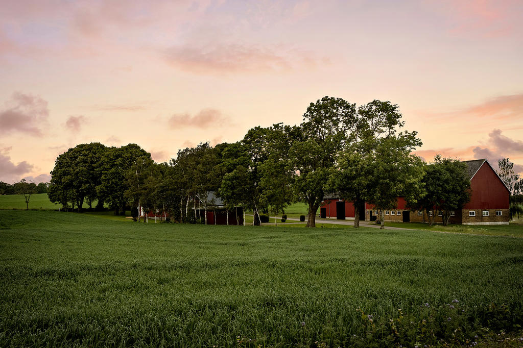 Solnedgång över gården