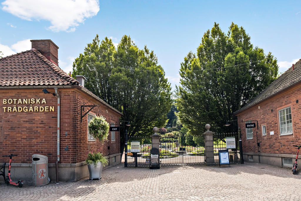 Även Botaniska Trädgården erbjuder vackra omgivningar.