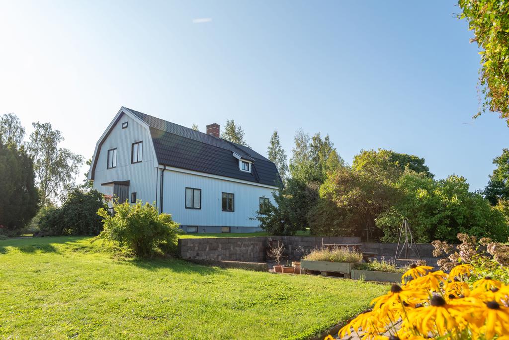 Trädgård / baksidan av huset