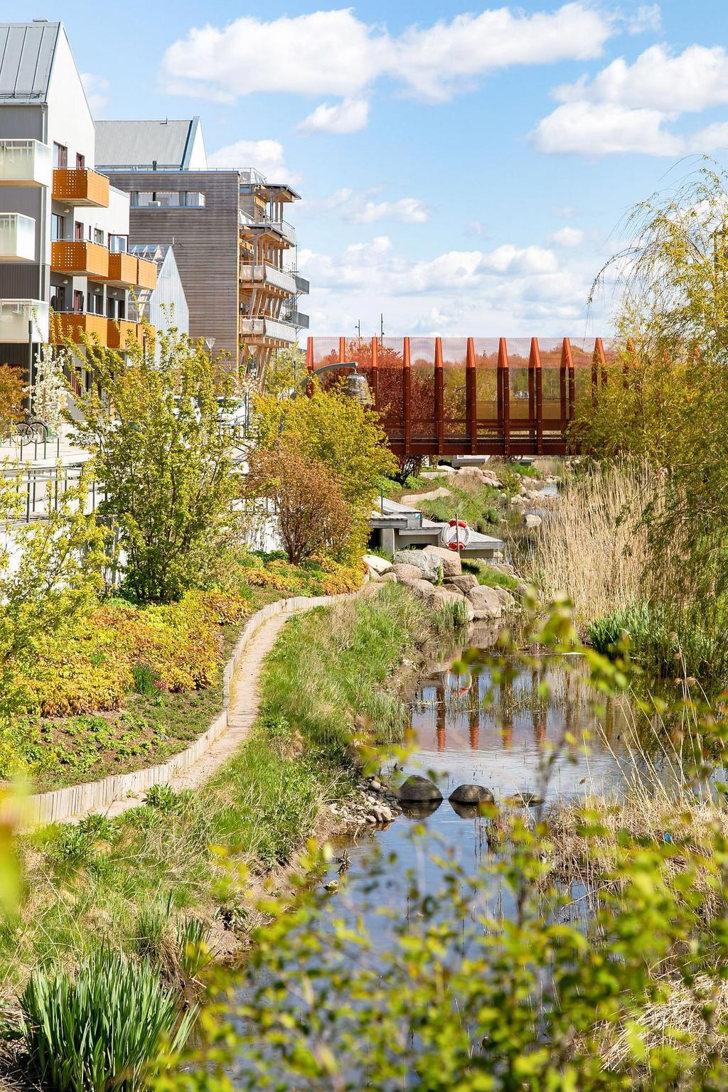 Trevlig omgivning i området