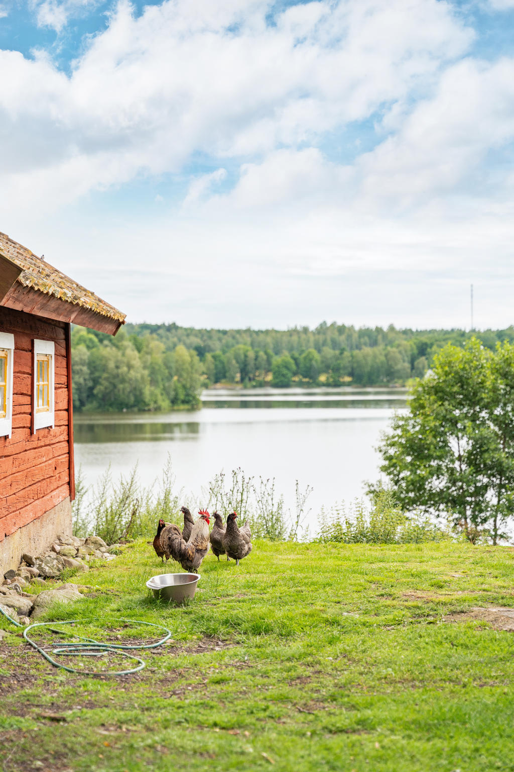 Hönshus och utsikt