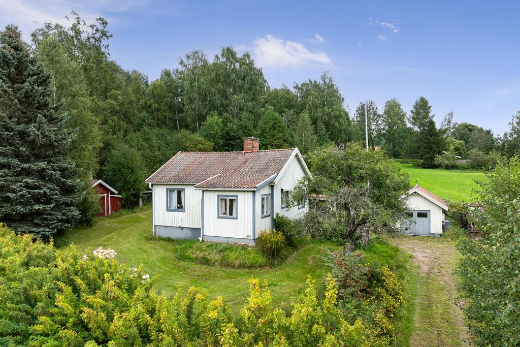 Trädgården är en grönskande oas med både fruktträd och perenner.