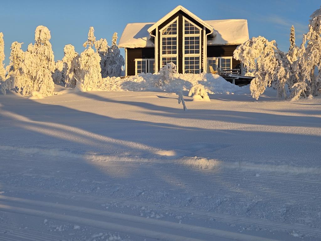 Säljarens vinterbild