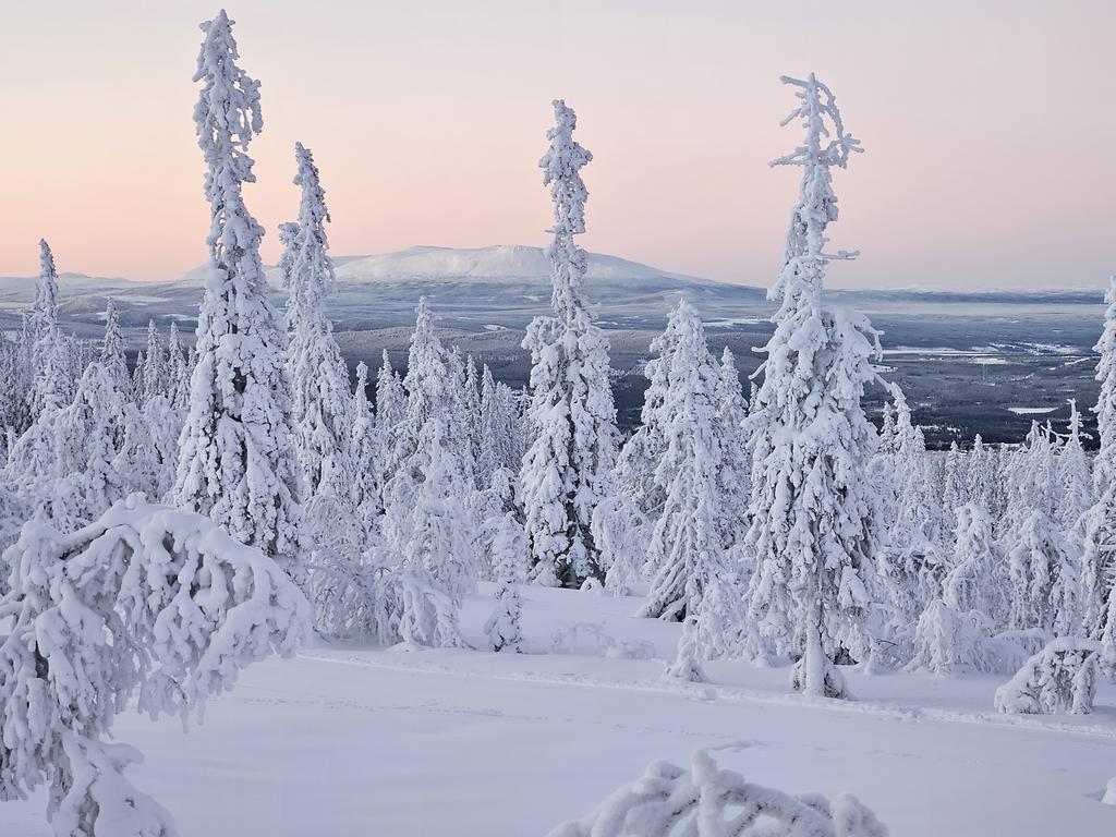 Säljarens vinterbild