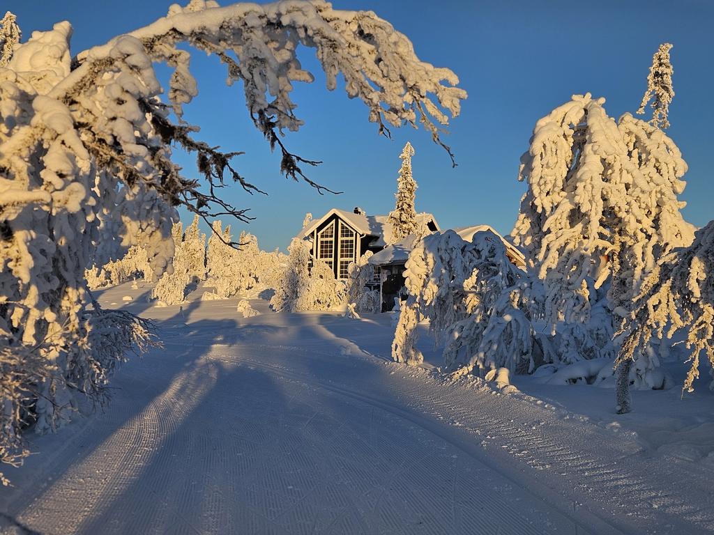 Säljarens vinterbild