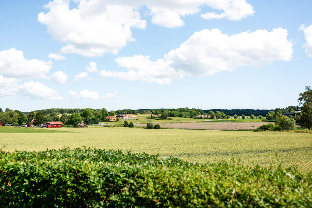 Grönskande miljöer