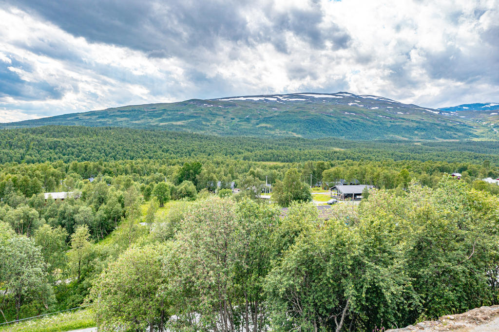 Fantastiska utsikten från en framtida uteplats! 